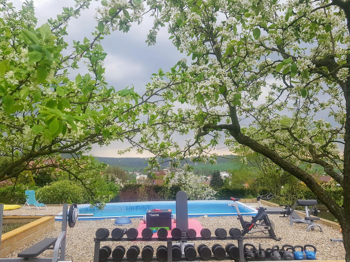 Vila Na Skalce Česká Kamenice المظهر الخارجي الصورة